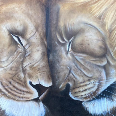 Contigo - Featured Image