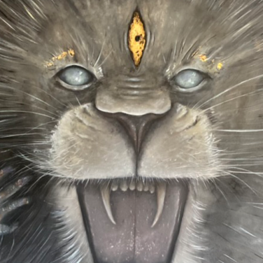 Used and Abused - Featured Image